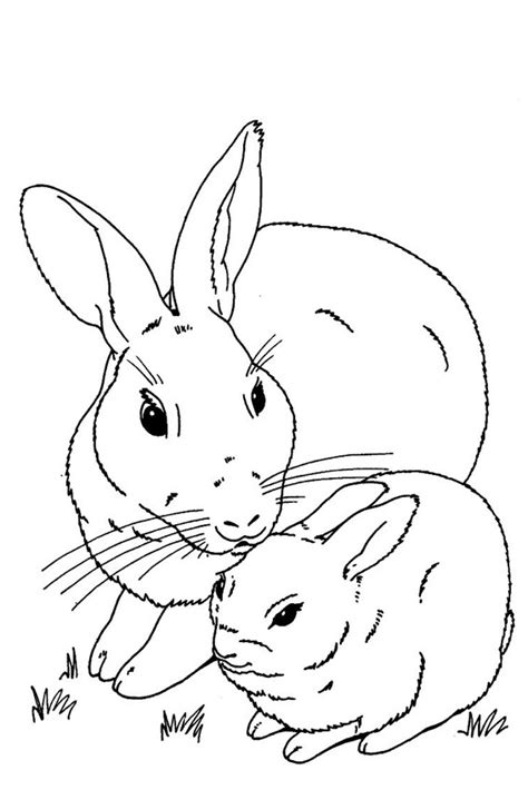 15 picture to coloring elements highlighting on touch to prevent mistakes select images to paint resize the brush for coloring save the picture to your device's photo library. Baby bunnies coloring pages download and print for free