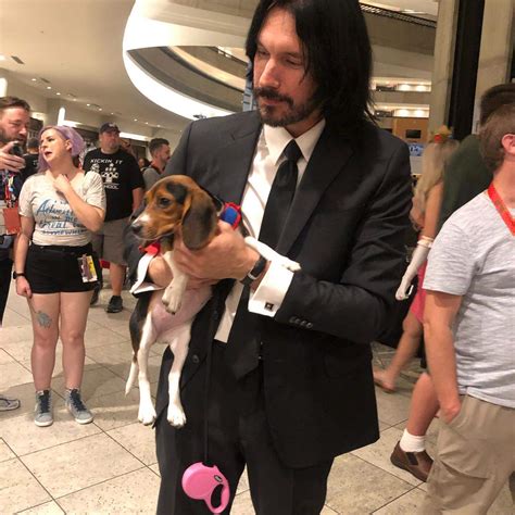John Wick Found His New Puppy R Beagle