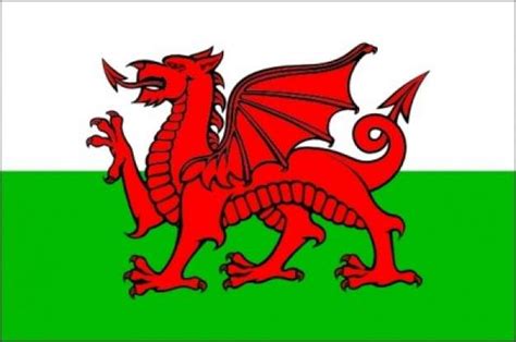 De vlag is sinds 1959 een officieel symbool van wales. Vlaggen Wales | Welshe vlag 20x30cm voordelig kopen bij Vlaggenclub!