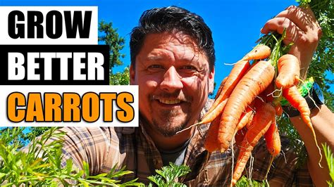 Growing Carrots The Definitive Guide Youtube