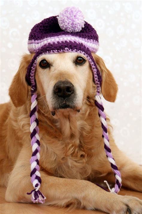 Dog Hat Ear Flap Dog Hat Dog Beanie Pom Pom Hat For Dogs Etsy Beanie