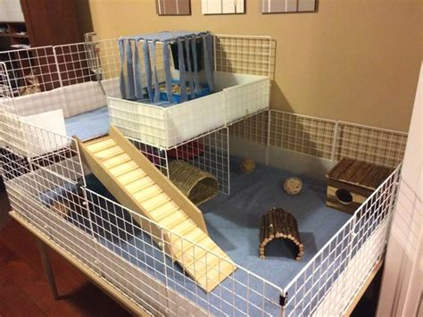 Pin On Guinea Pig Cages