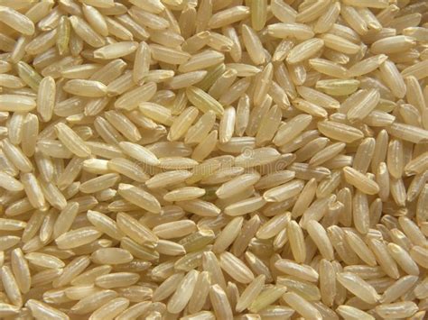 Whole Grain Brown Rice Stock Photo Image Of Glass Whole 7839434