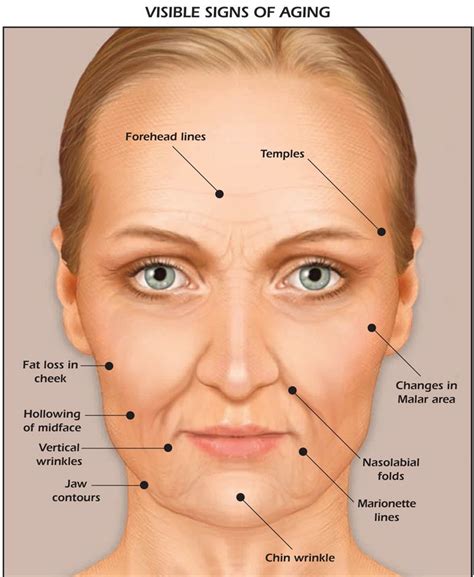Facial Mapping Click On The Image Above To Enlarge With Aging The