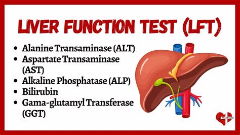 Liver Function Test Interpretation
