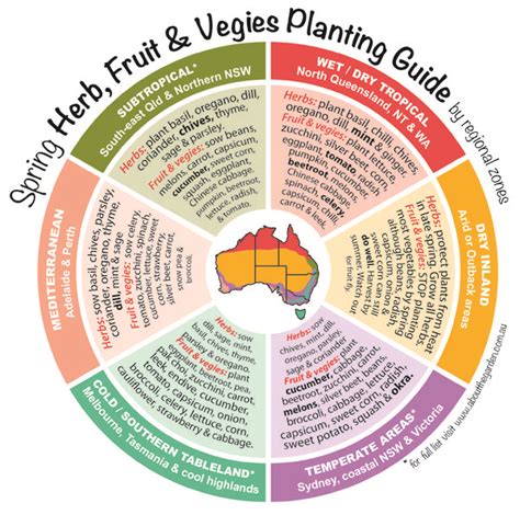 Vegetable Planting Guide For Australia
