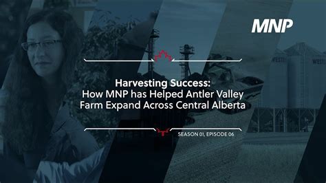 Harvesting Success How Mnp Has Helped Antler Valley Farm Expand Across