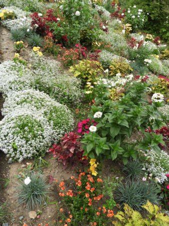 Juni 2020 um 22:49 uhr bearbeitet. Botanischer Garten Mainz - Aktuelle 2018 - Lohnt es sich?
