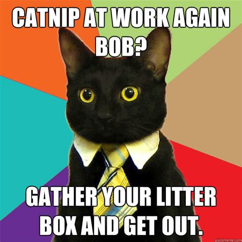Catnip At Work Again Cat Meme Cat Planet Cat Planet