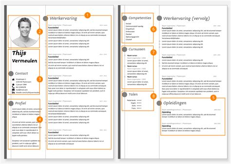 Cv Opstellen Bekijk Voorbeelden En Handige Tips Creatief Cvnl