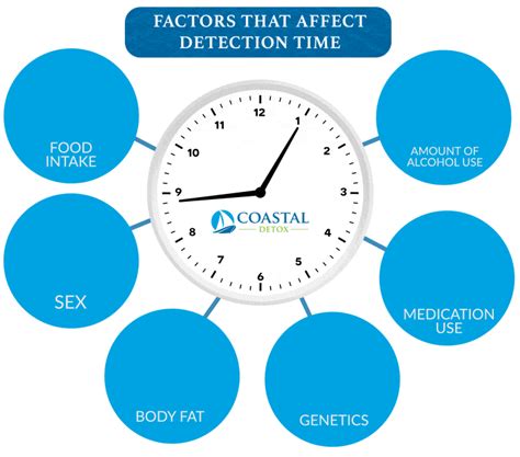 Factors that decide the retention of alcohol in the body. How Long Does Alcohol Stay in Your System? - Coastal Detox