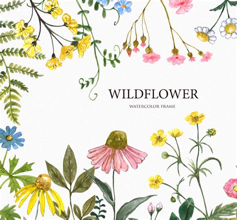 Wildflower Frame Floral Border Watercolor Wild Flowers Meadow Etsy