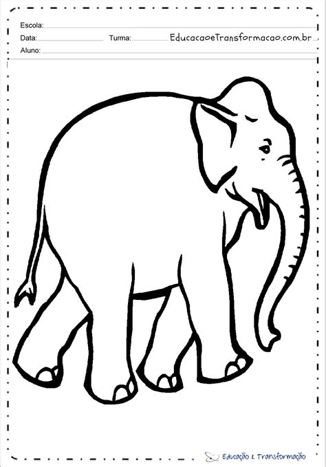 Elefante Desenhos De Animais Para Colorir E Imprimir Educação E