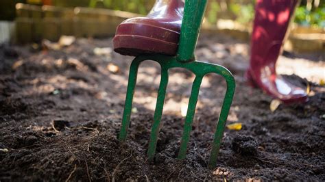 4 Main Types Gardening Forks That You Need To Know About • Garden Shire