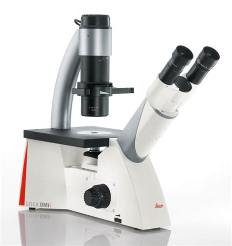 Inverted microscope in animal cell culture. Leica DMi1 Inverted Microscope for Cell Culture | Products ...