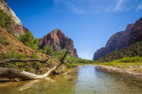 Virgin River In Zion National Park Utah Stock Image Image Of Utah