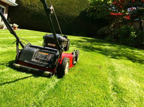 Lawn Care Lawn Care Companies Mow Health Care Workers Lawns Free Of