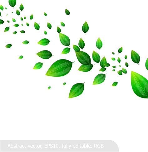 Similar with vector leaves png. 25+ Inspirasi Keren Leaves Daun Png Vector - Stylus Point