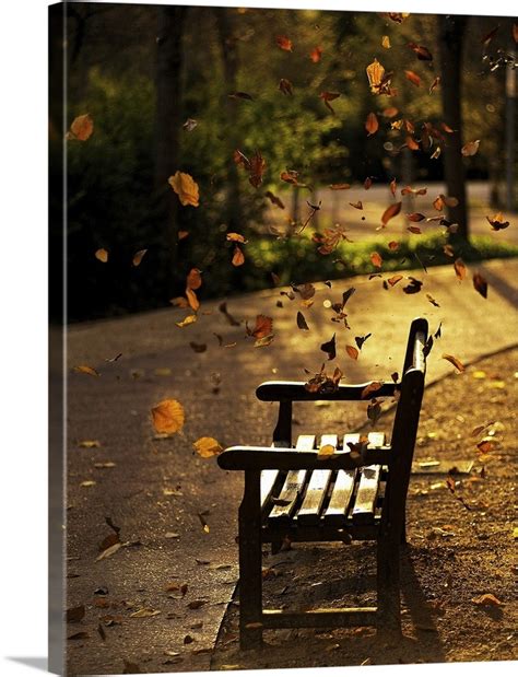 Fall Leaves On Park Bench Wall Art Canvas Prints Framed Prints Wall