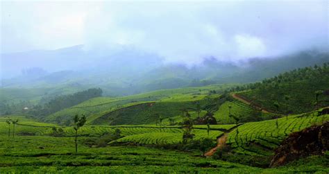 bhawna mohinani blogs 20 most popular places to visit in india during monsoon the ghumakkads