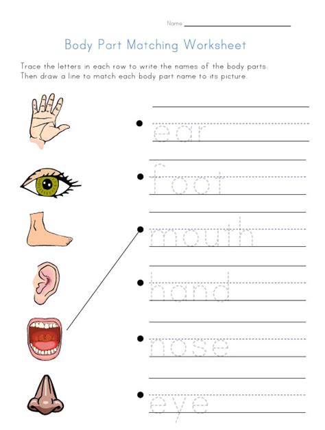 Use the word bank below and fill in the action. Body parts worksheet - Imagui