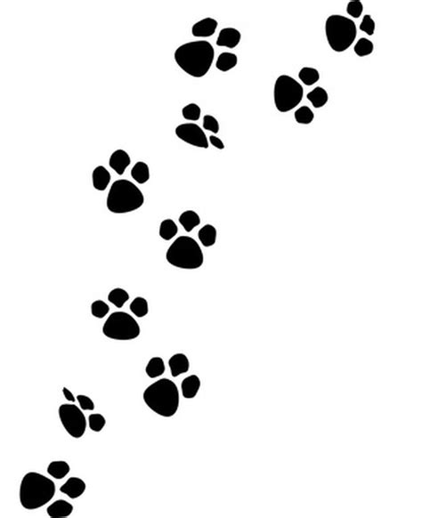 How To Draw Cat Paw Prints Ehow