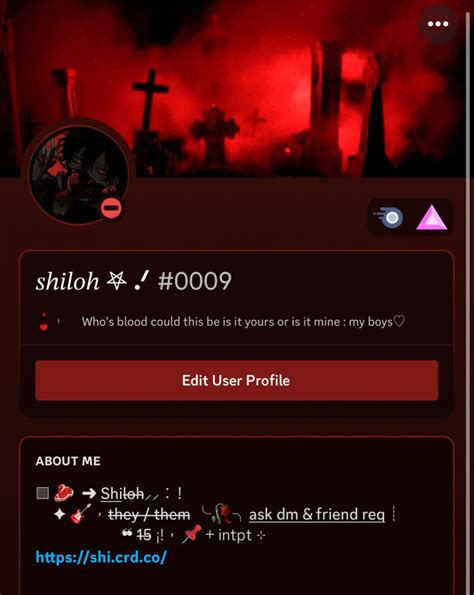 Cute Bios Pfs User Profile Discord Layouts Save Aesthetic Quick