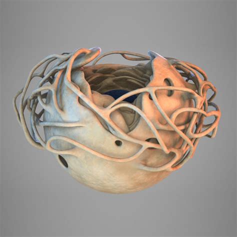Education chart of biology for animal cell and plant cell diagram. Cell nucleus 3D model | CGTrader