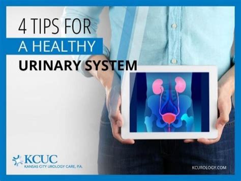 Urology Care 4 Simple Urinary Health Tips You Should Know