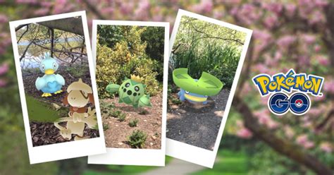 Последние твиты от ケイン・ヤリスギ「♂」 (@kein_yarisugi). 【ポケモンGO】ポケモンスナップ発売記念イベント開催決定 ...