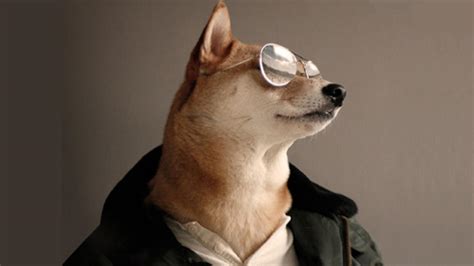 Meet Menswear Dog The Most Fashionable Dog On The Internet Cbs News