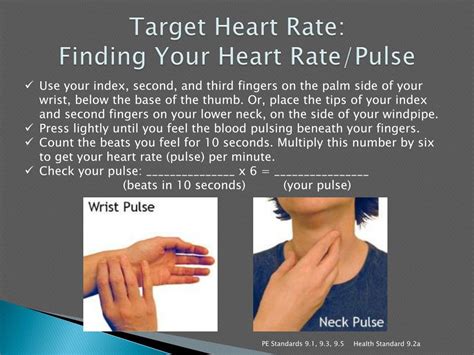 How To Find The Target Heart Rate Br