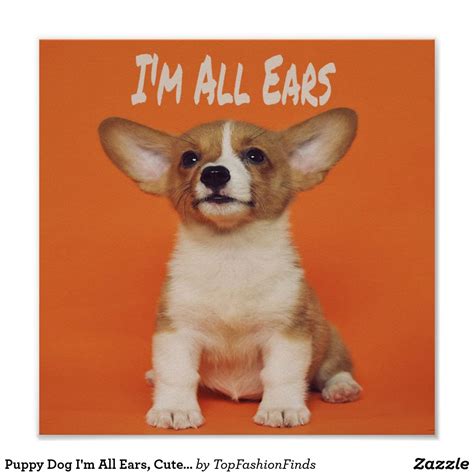 Puppy Dog Im All Ears Cute Meme Poster Zazzle Puppy Pictures