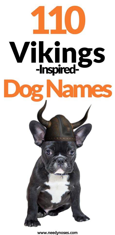 110 Vikings Inspired Dog Names