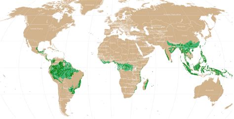 Tropical World Map