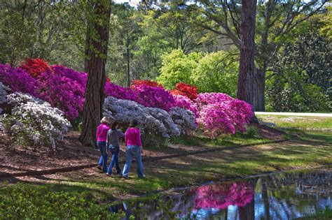 Best Things To Do In West Georgia Official Georgia Tourism And Travel