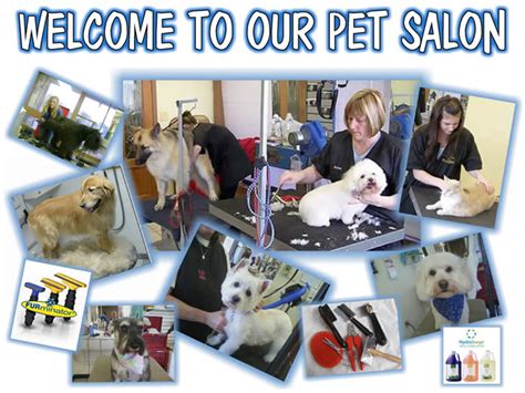 We would love to thank everyone who gave contributions during this holiday season! Animal Grooming in Millersville, MD | Noah's Ark ...