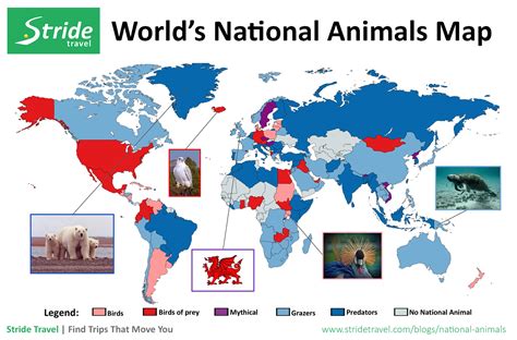 National Animals Of The World Interactive Infographic