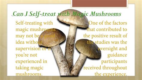 Ppt Magic Mushrooms Illness And Anxiety Powerpoint Presentation Free