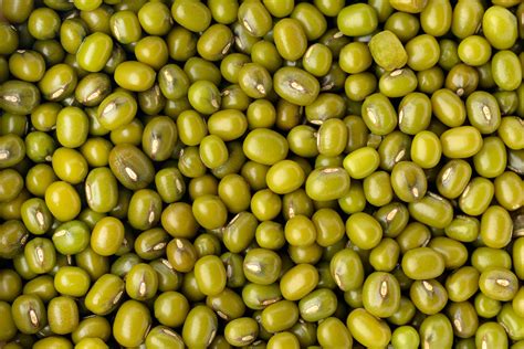 organic-beans-pulses-Suminter