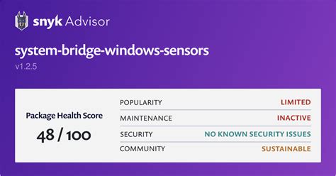 System Bridge Windows Sensors Npm Package Snyk