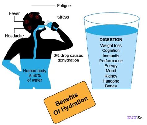What Are The Benefits Of Hydration