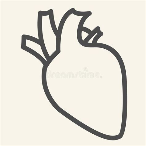 Heart Organ Line And Solid Icon Realistic Human Heart Outline Style