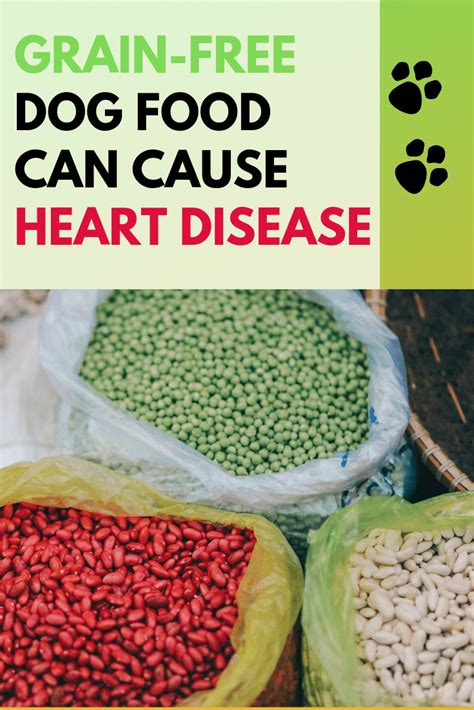 How concerned should dog owners be? Grain Free Dog Food Linked To Heart Disease (With images ...