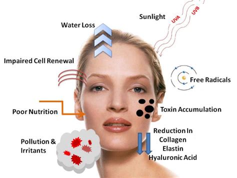 Skin Care Wrinkles Anti Aging Solutions Include Wrinkle Treatments