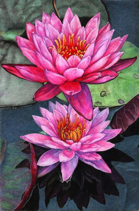 Lotus By Naglets On Deviantart Flower Art Painting Flower Art