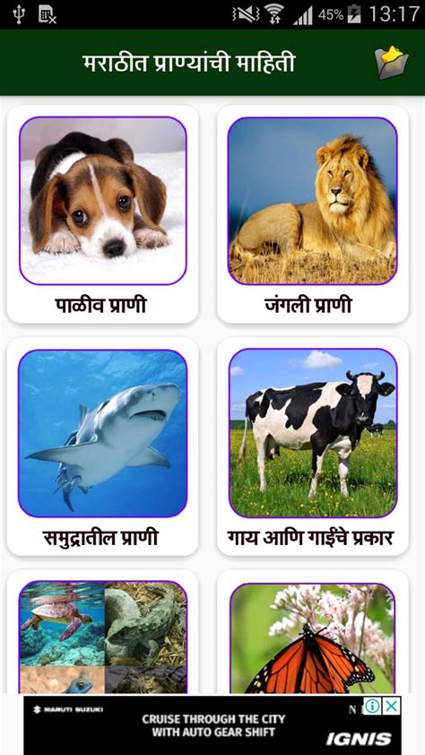 Top 160 Animals Name In Marathi With Pictures