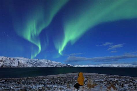 Tromso Is One Of The Best Places In The World To Watch The Northern