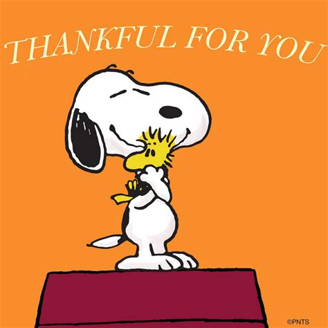 This same festival is also. Thankful. | Thanksgiving snoopy, Snoopy quotes, Snoopy