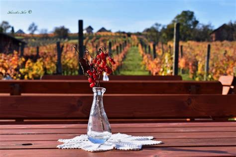 Bámulatos az ősz a titokzatos vasi szőlőhegyen - Az otthon szépsége